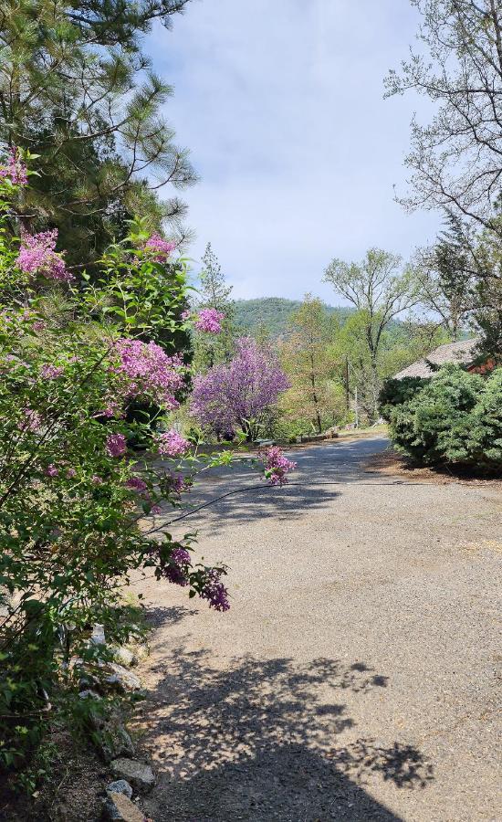 Yosemite Mountain Retreat Βίλα Oakhurst Εξωτερικό φωτογραφία